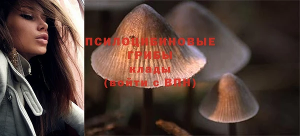 СК Мегион
