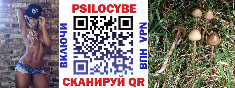Галлюциногенные грибы MAGIC MUSHROOMS  Купить где  Канаш 